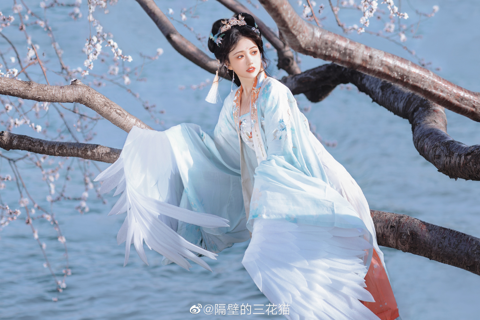 汉服 你是山川 河流 大海 我奔赴于你…@隔壁的三花猫