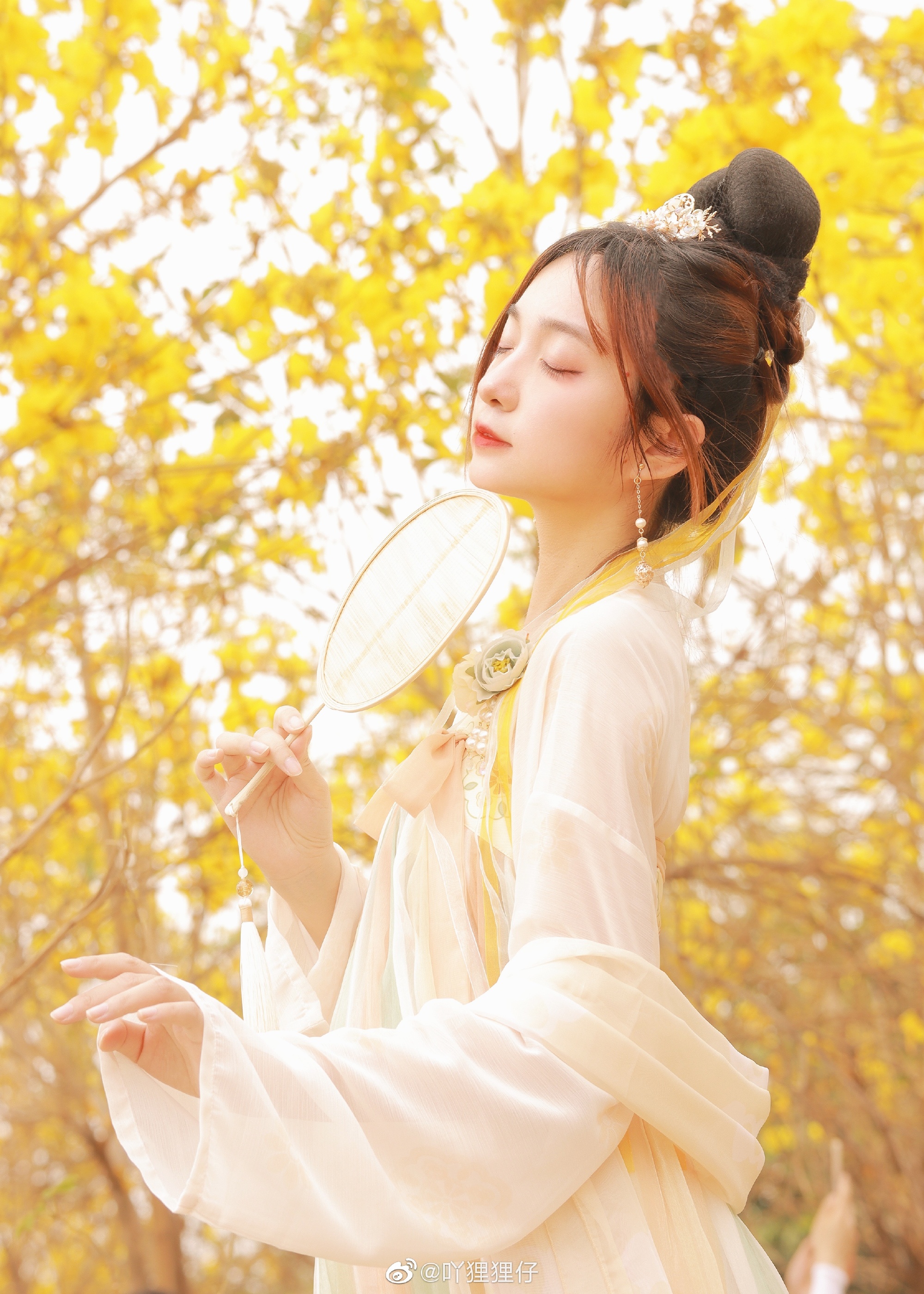 【汉服写真】黄花一树满风铃@吖狸狸仔