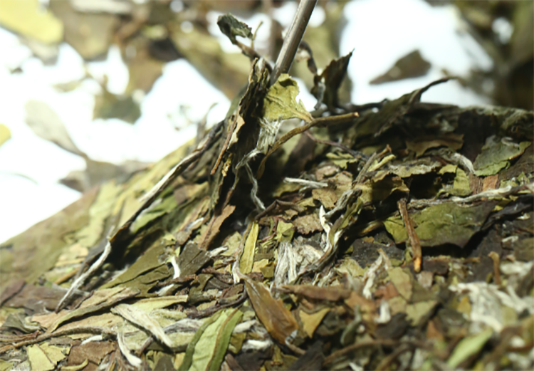 白茶应该怎么储存，看完这篇就懂了