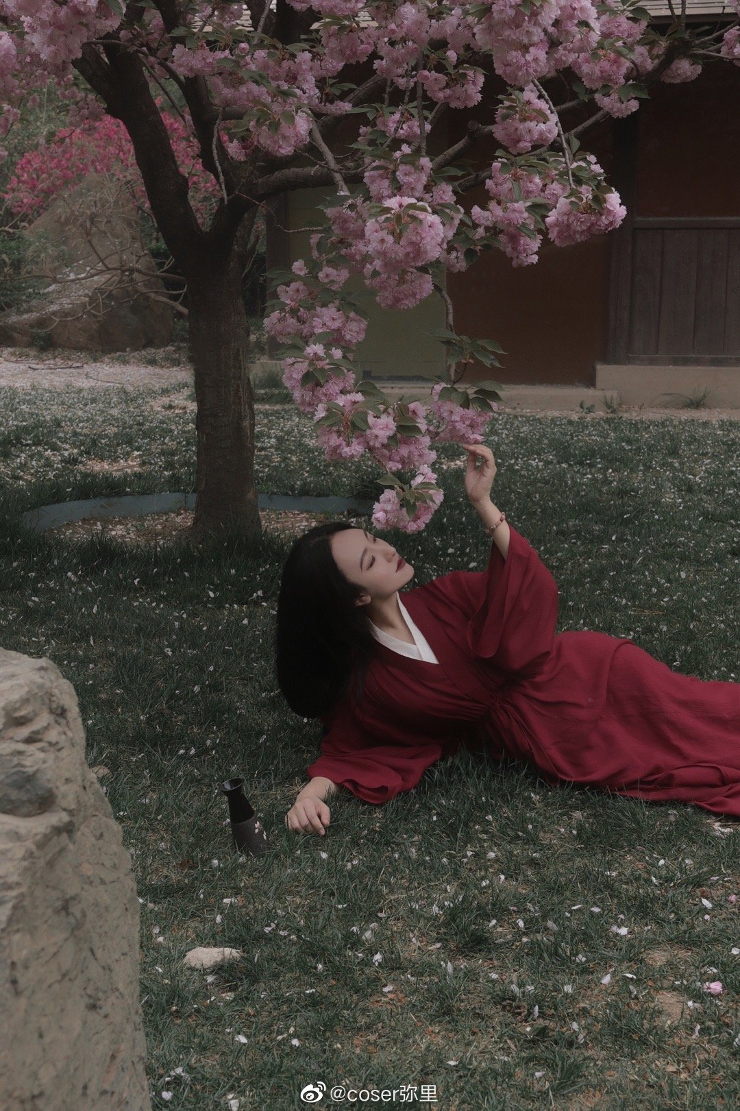 【汉服写真】 樱花 山下梅子酒熟了@coser弥里