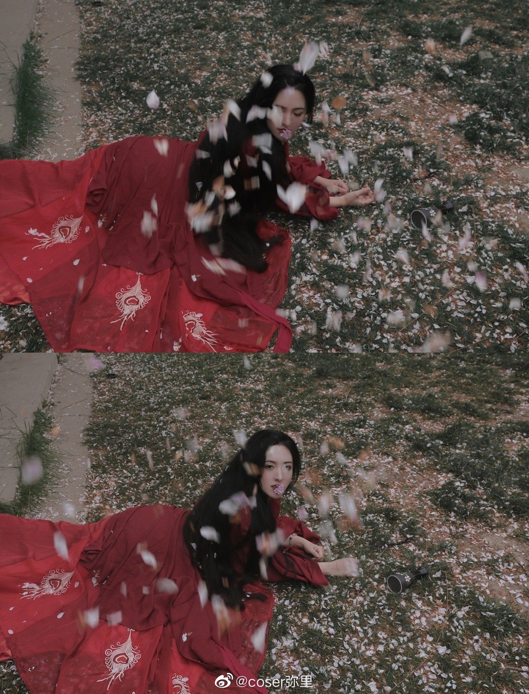 【汉服写真】 樱花 山下梅子酒熟了@coser弥里