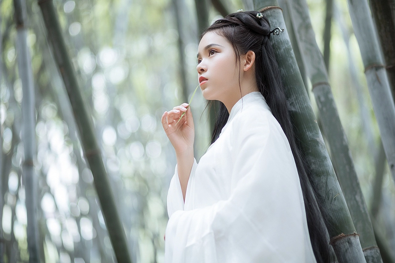 汉服写真 - 竹林书