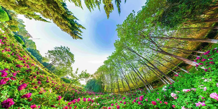 在洛阳，五一可以穿汉服去哪里玩？