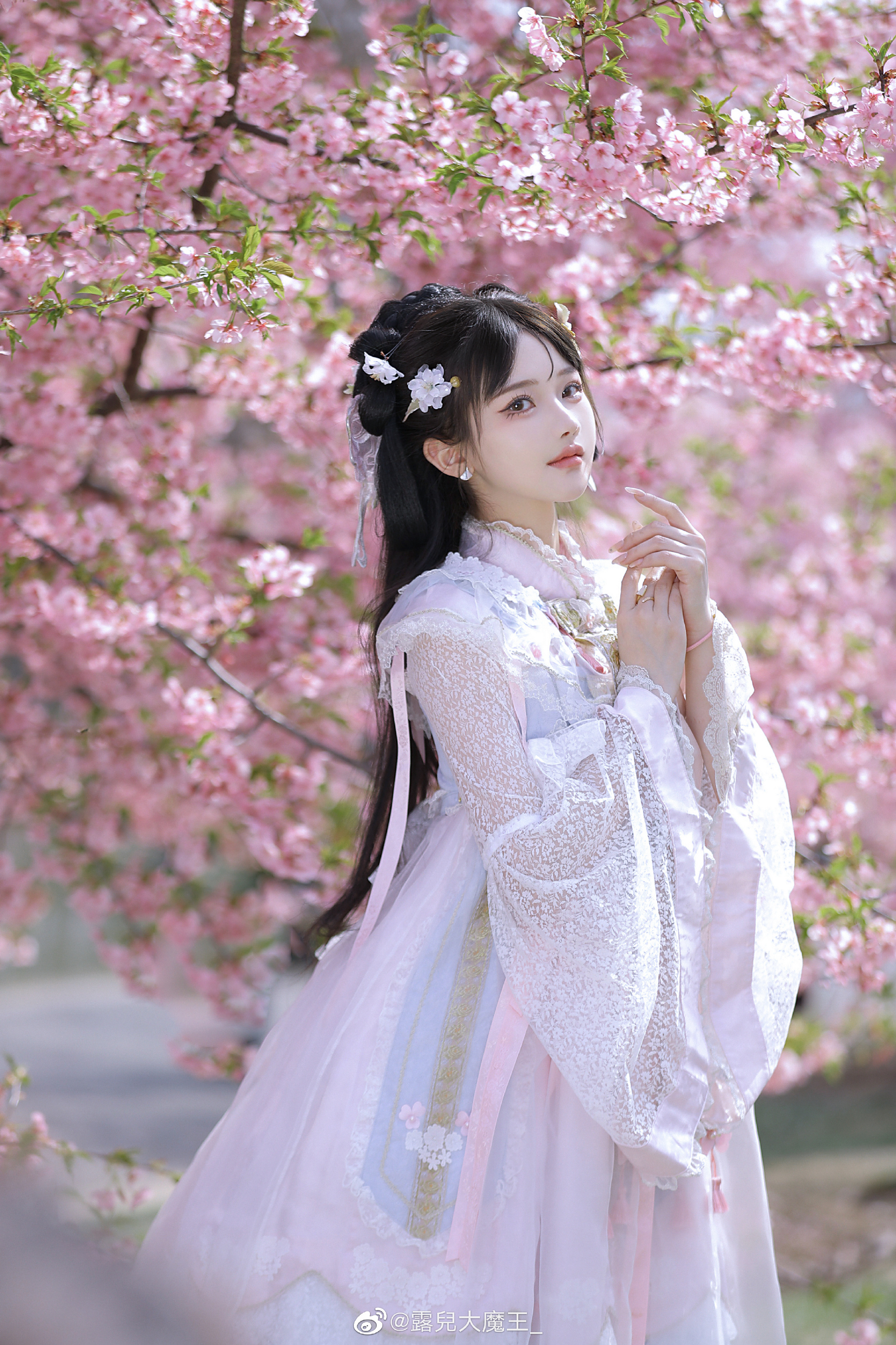 收到了樱花的图 我甚至忘记了这件事。 樱茶@露兒大魔王_