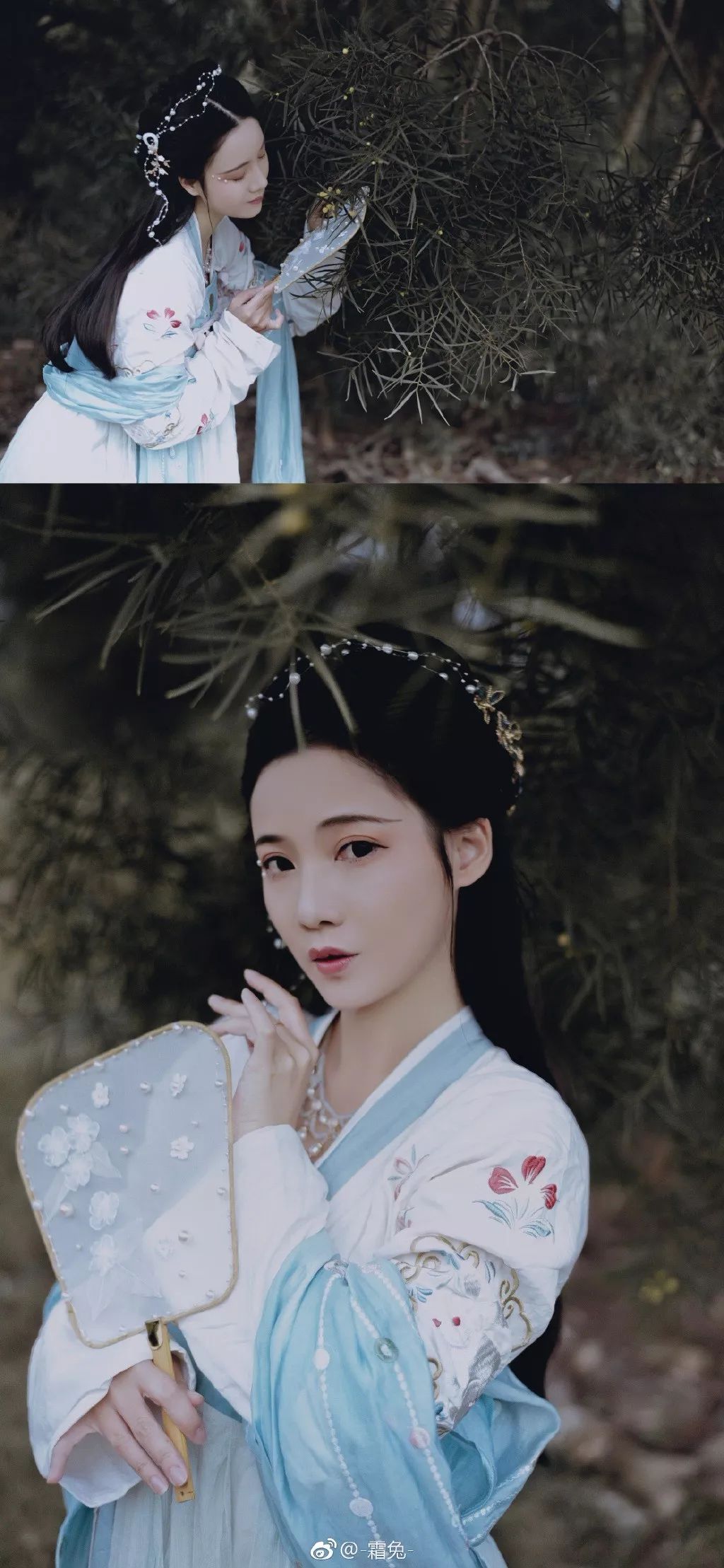 皓露助流華，輕風佐浮涼