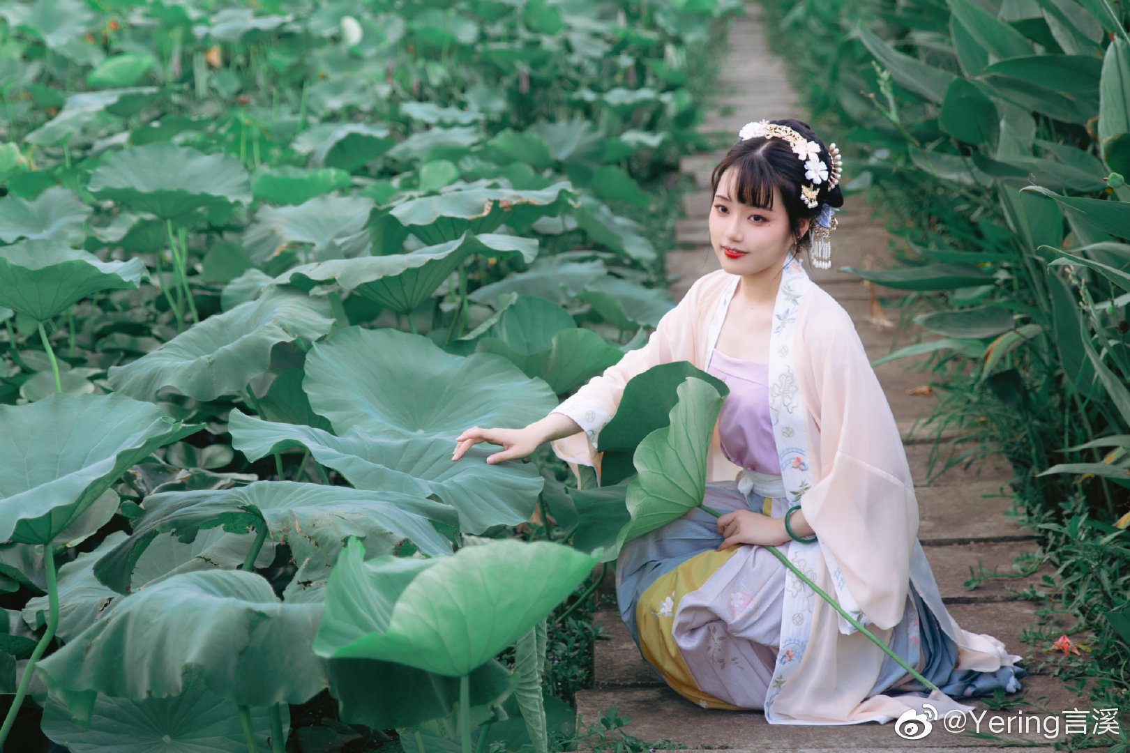 「叶上初阳干宿雨，水面清圆，一一风荷举」 @Yering言溪