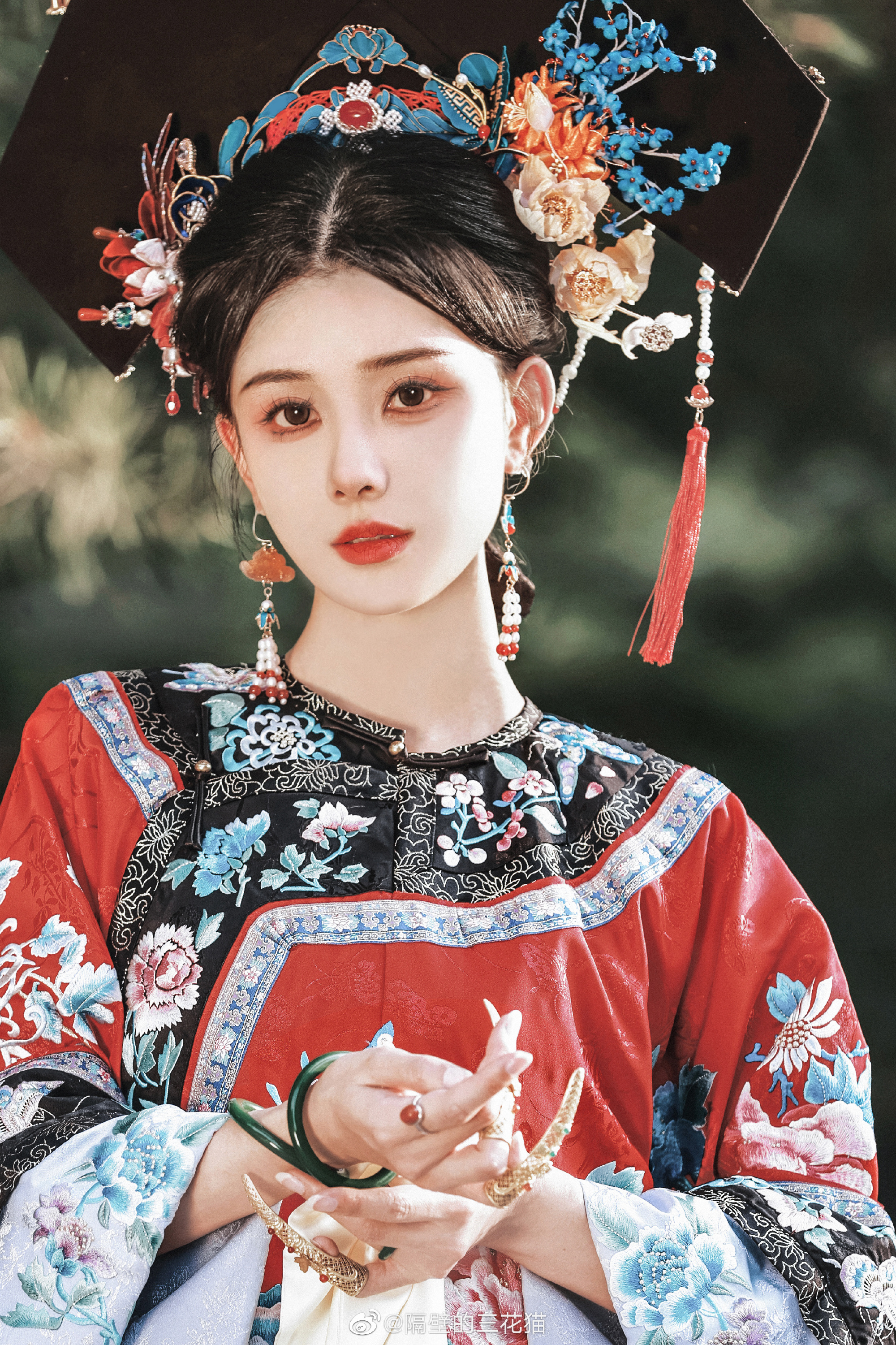 红墙绿树景长新…@隔壁的三花猫