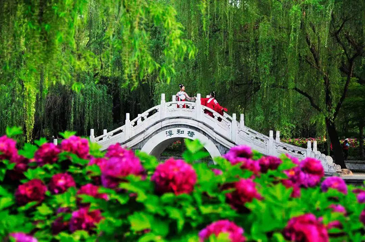 在洛阳，五一可以穿汉服去哪里玩？