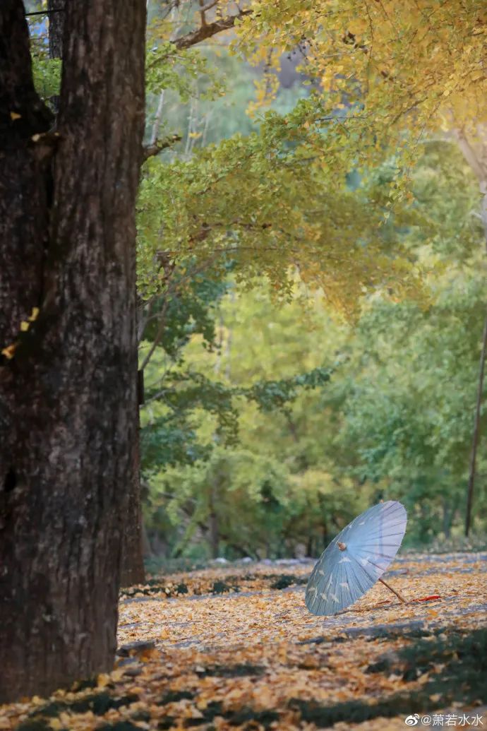 烟雨桂林，人间仙境