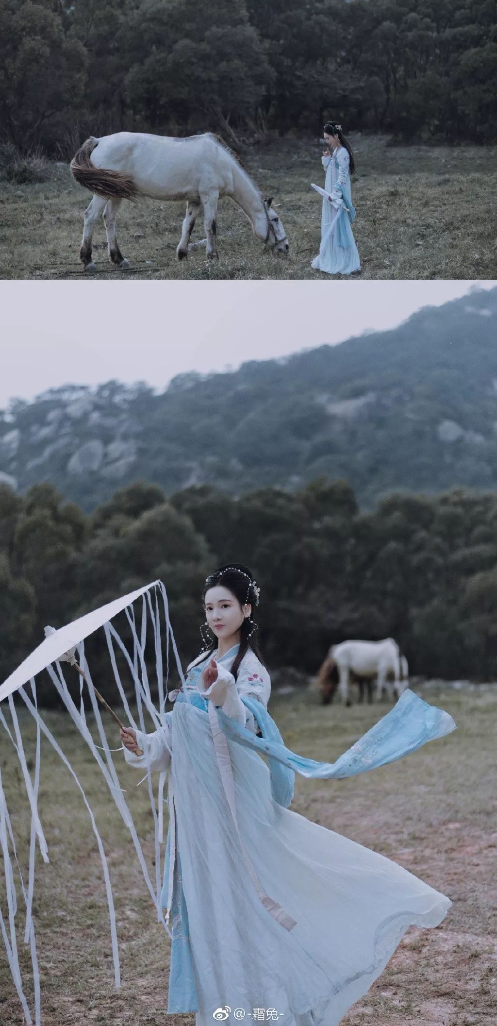 皓露助流華，輕風佐浮涼