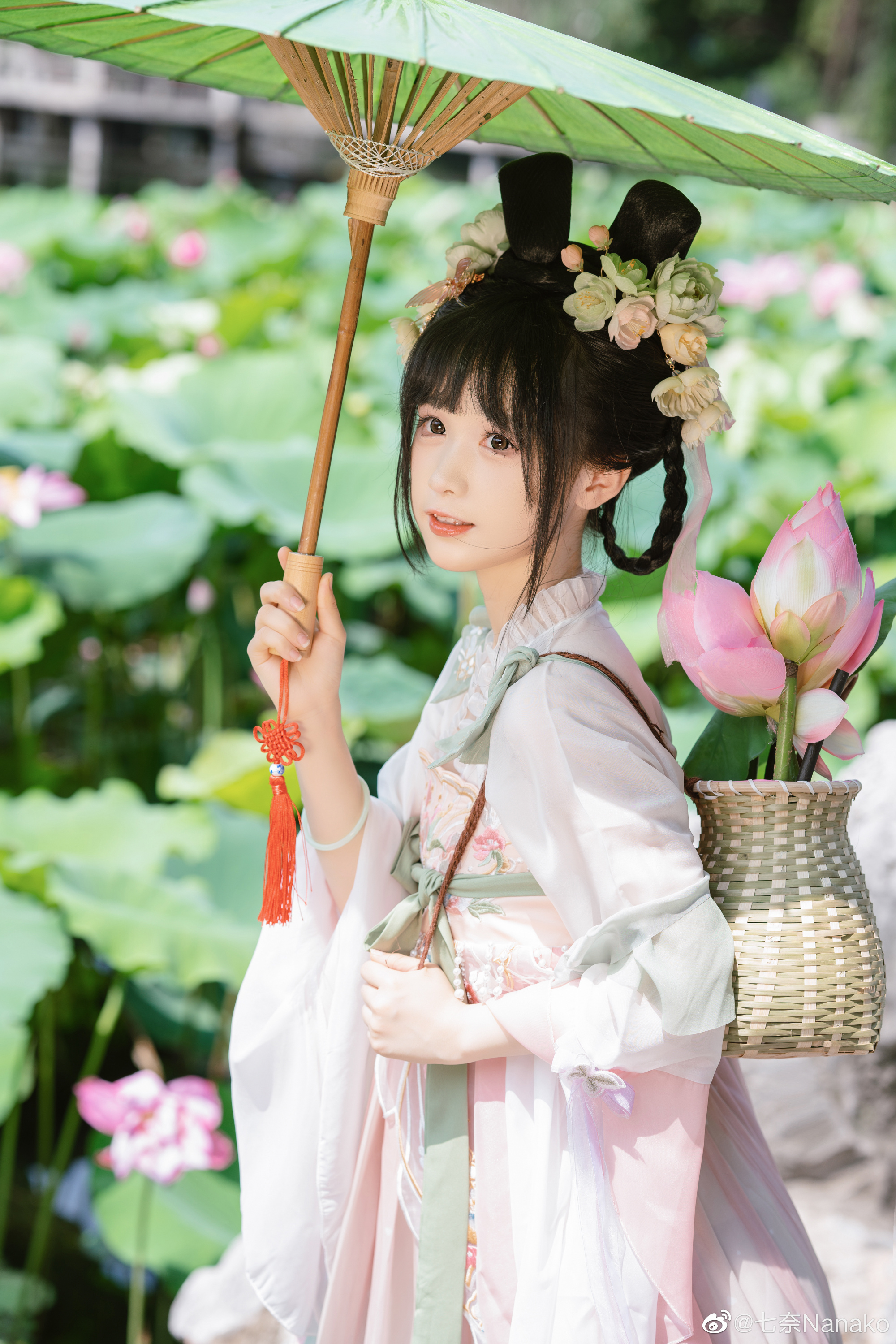 夏日汉服写真 是谁家的荷花小兔仙走丢了 ！打扰了是我的@七奈Nanako