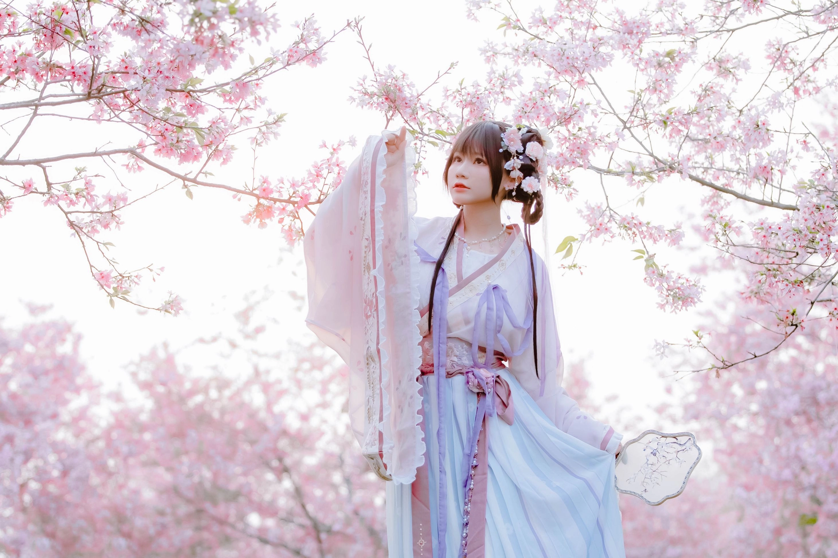 汉服写真 - 喵子Nyako 樱花汉服 花神祈愿（HD）