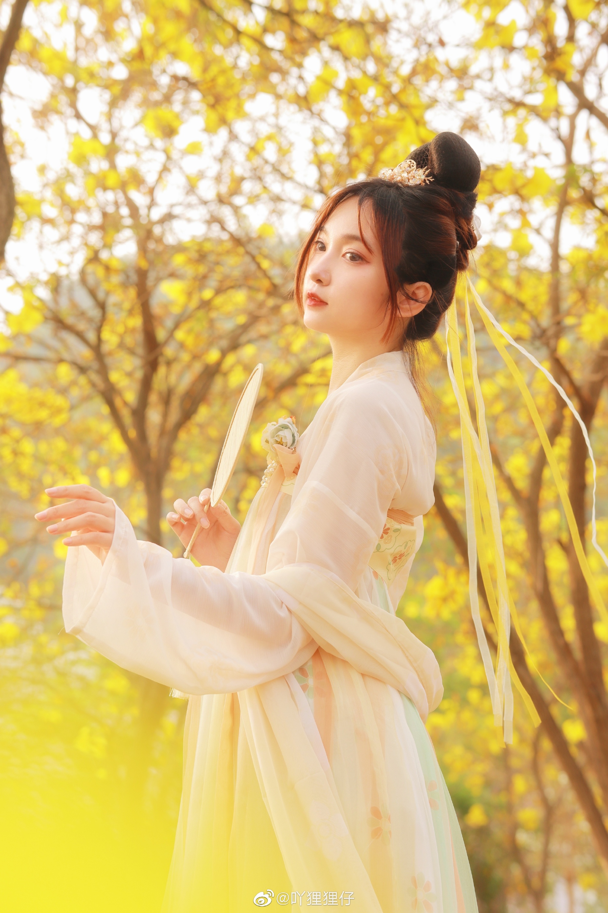 【汉服写真】黄花一树满风铃@吖狸狸仔