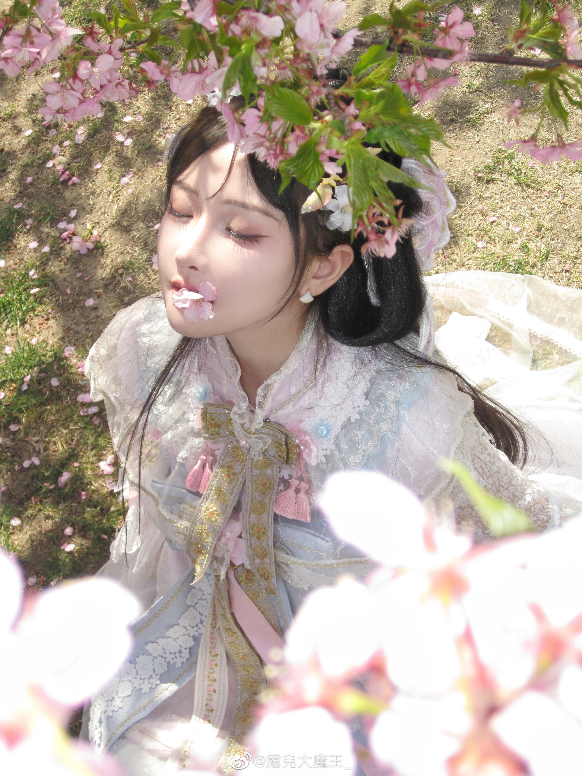 收到了樱花的图 我甚至忘记了这件事。 樱茶@露兒大魔王_
