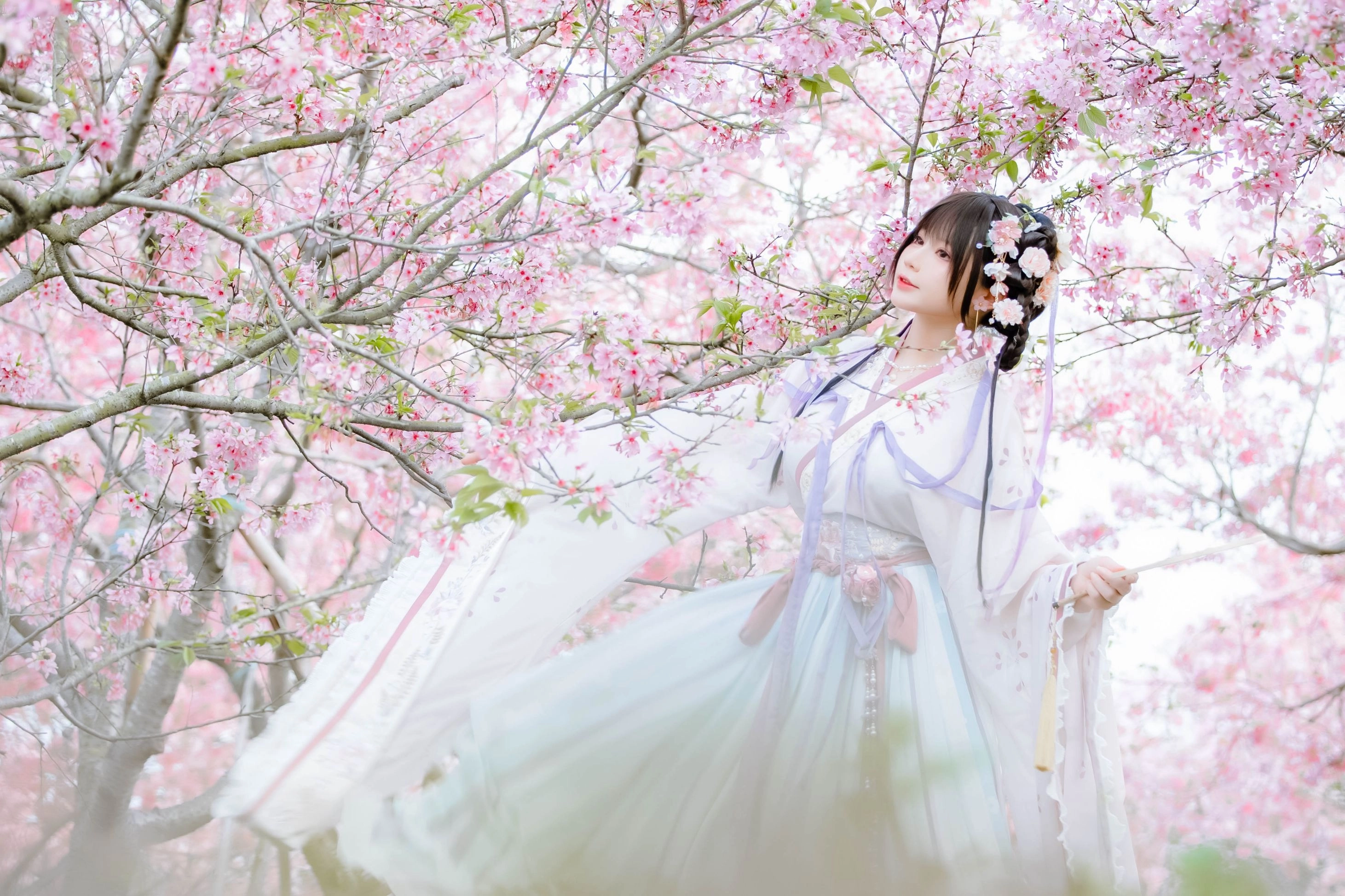 汉服写真 - 喵子Nyako 樱花汉服 花神祈愿（HD）