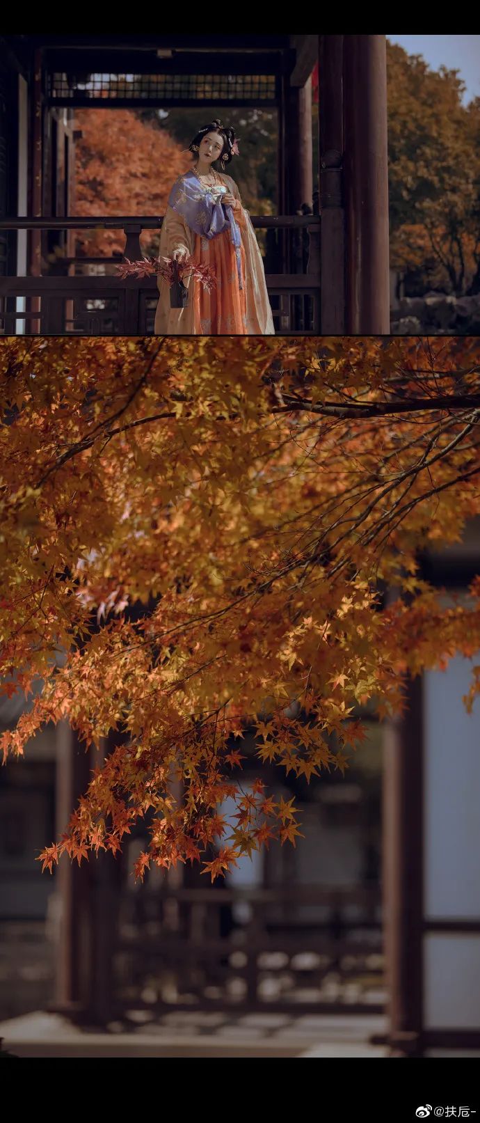 梦回大唐 生当复来归，死当长相思。