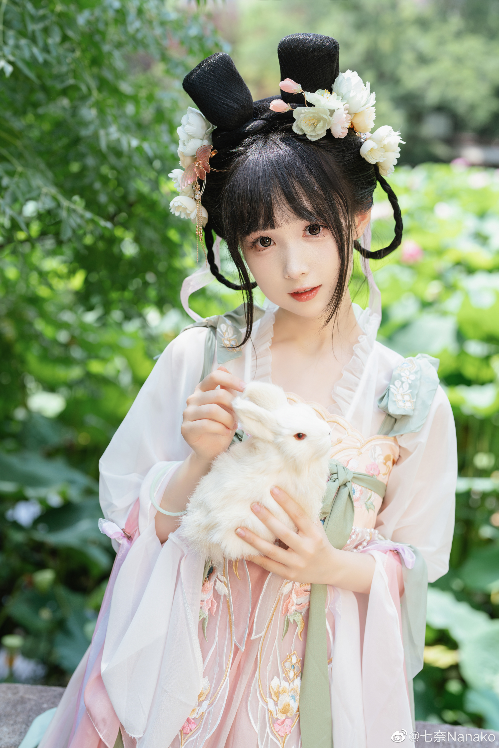夏日汉服写真 是谁家的荷花小兔仙走丢了 ！打扰了是我的@七奈Nanako