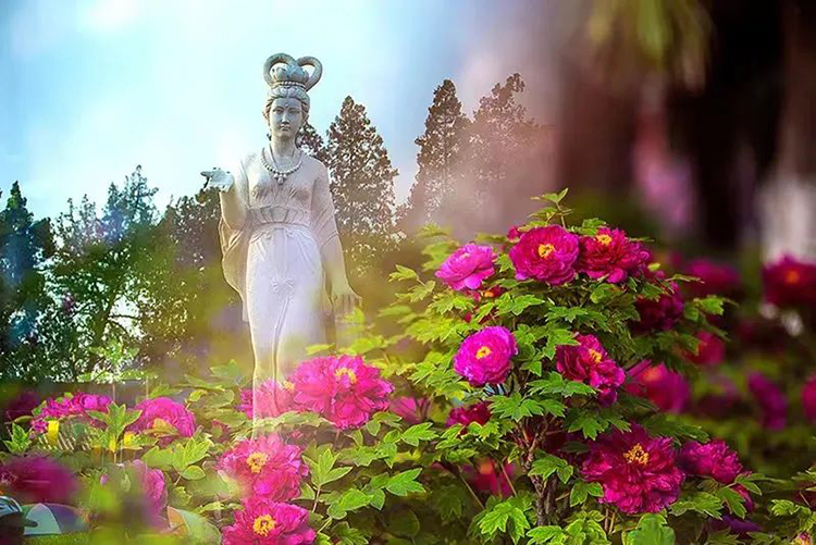 在洛阳，五一可以穿汉服去哪里玩？