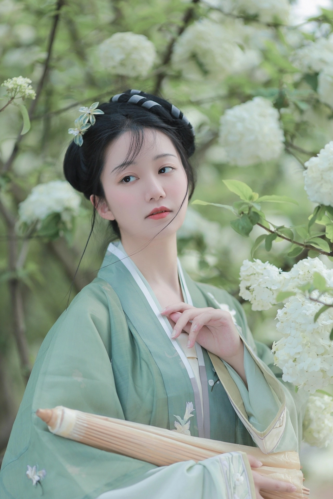 汉服写真 - 绣球花
