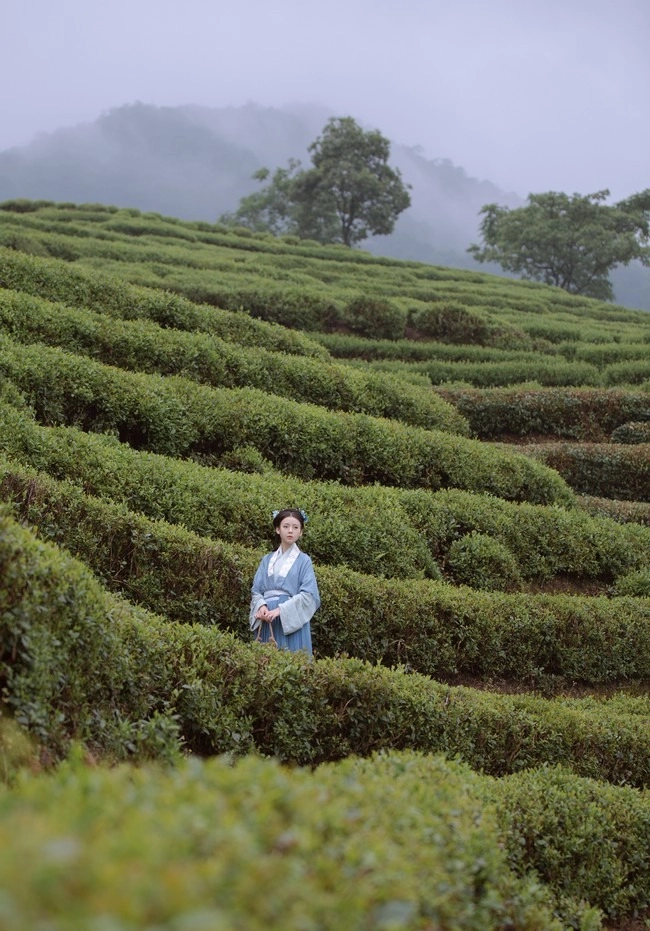 汉服写真 - 山茶