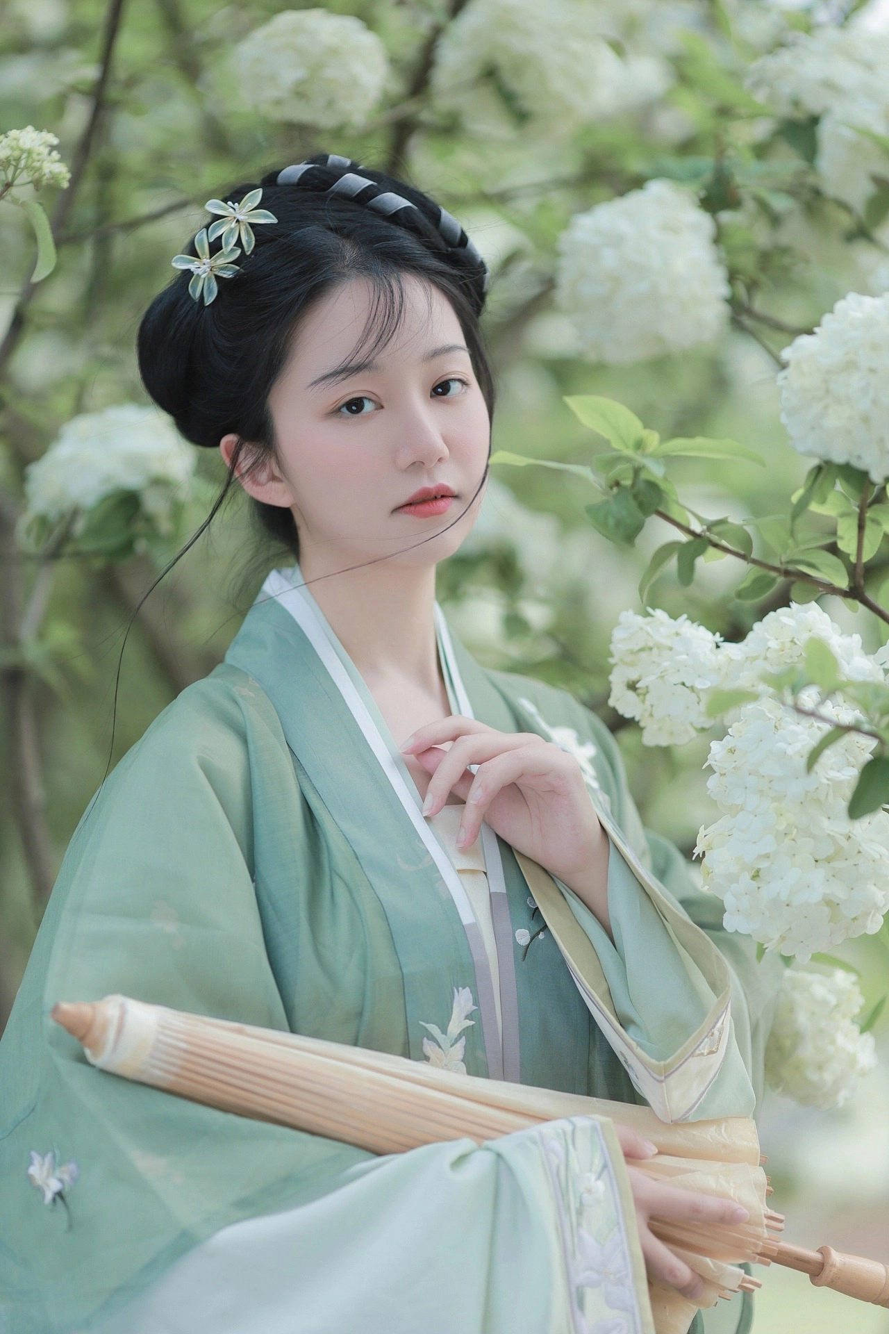 汉服写真 - 绣球花