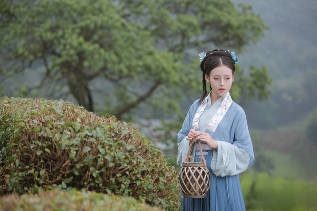 汉服写真 - 山茶