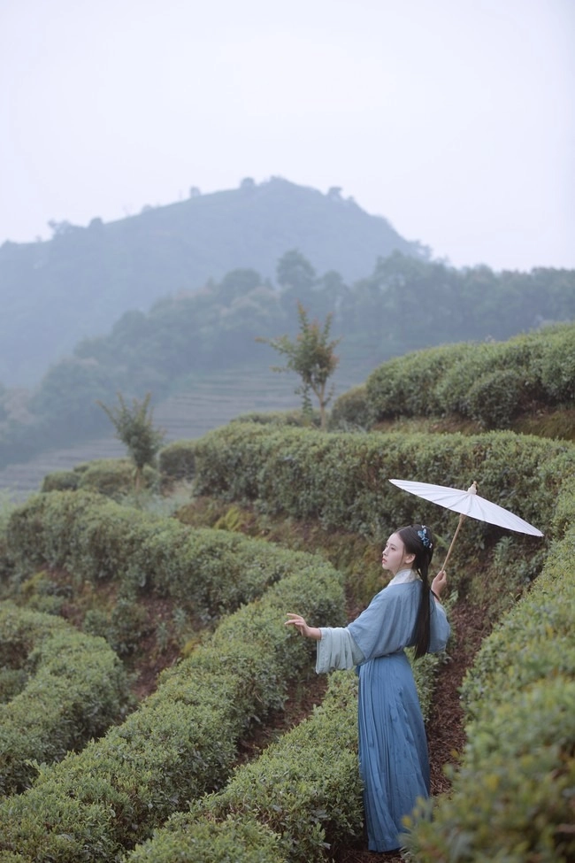 汉服写真 - 山茶