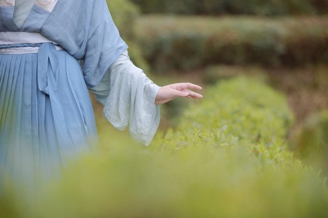 汉服写真 - 山茶