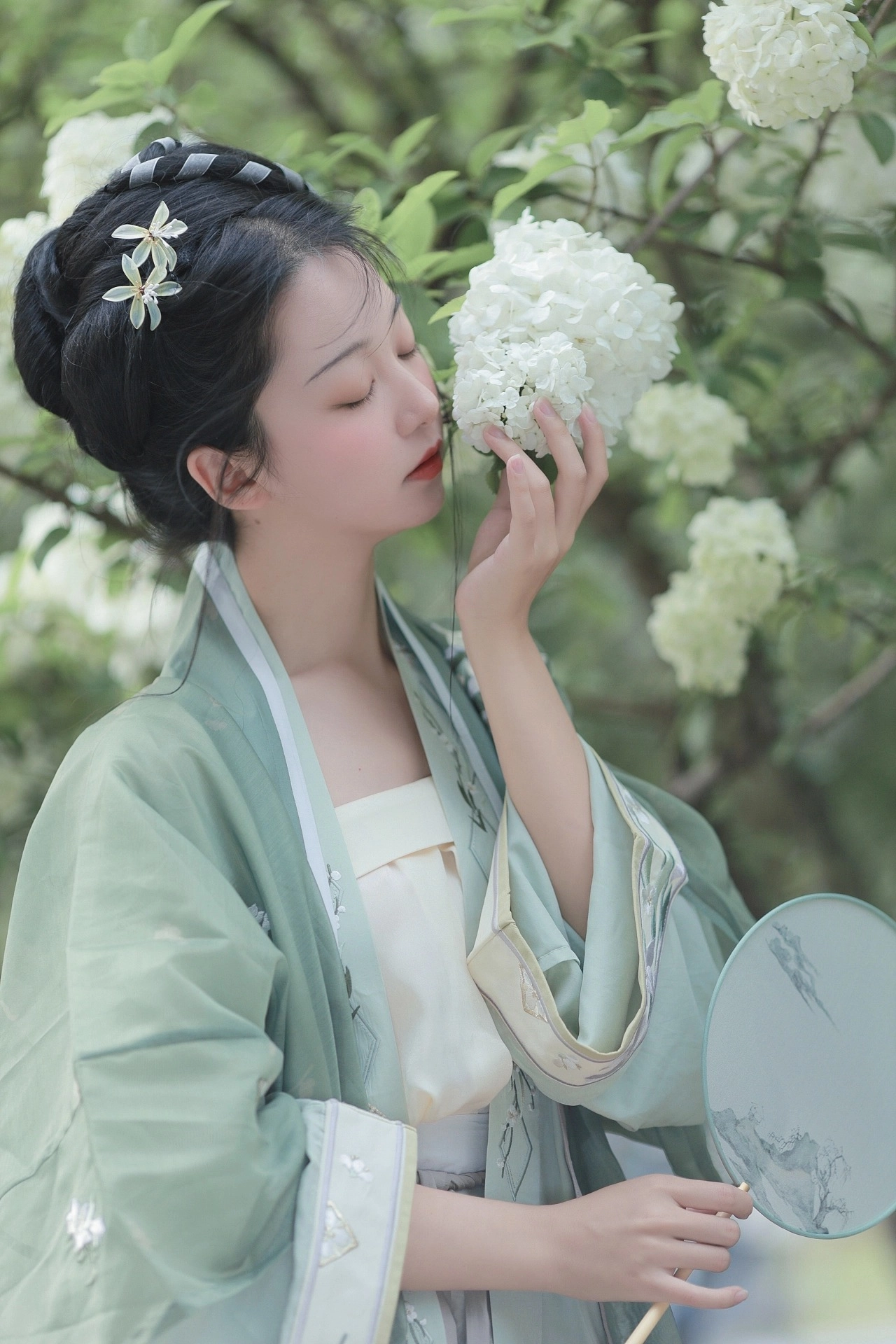汉服写真 - 绣球花