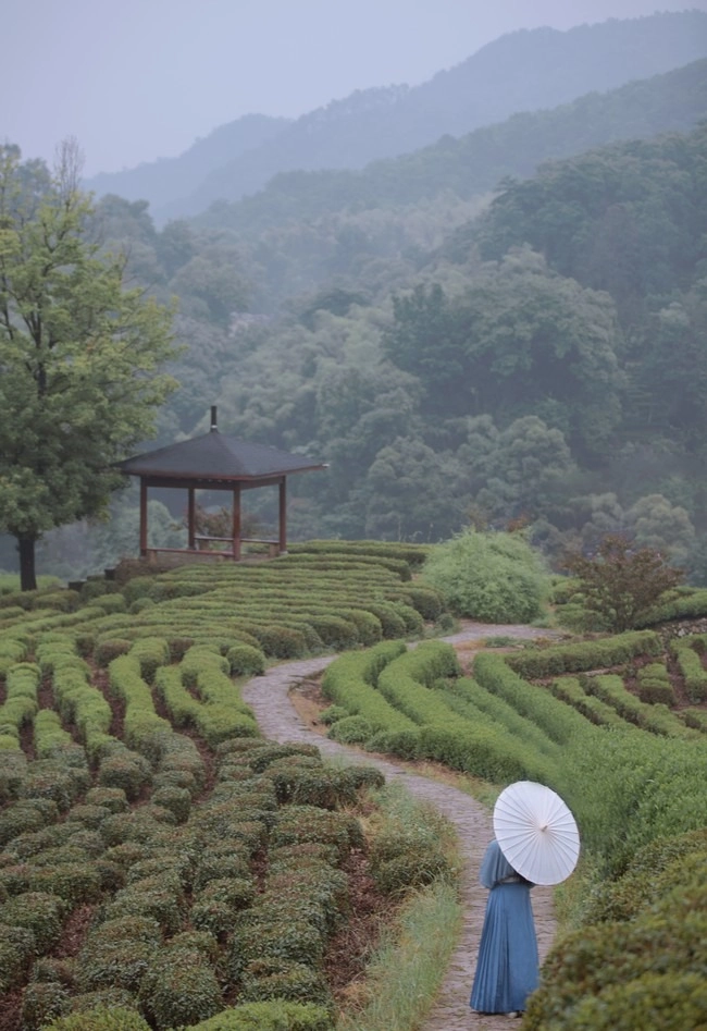 汉服写真 - 山茶