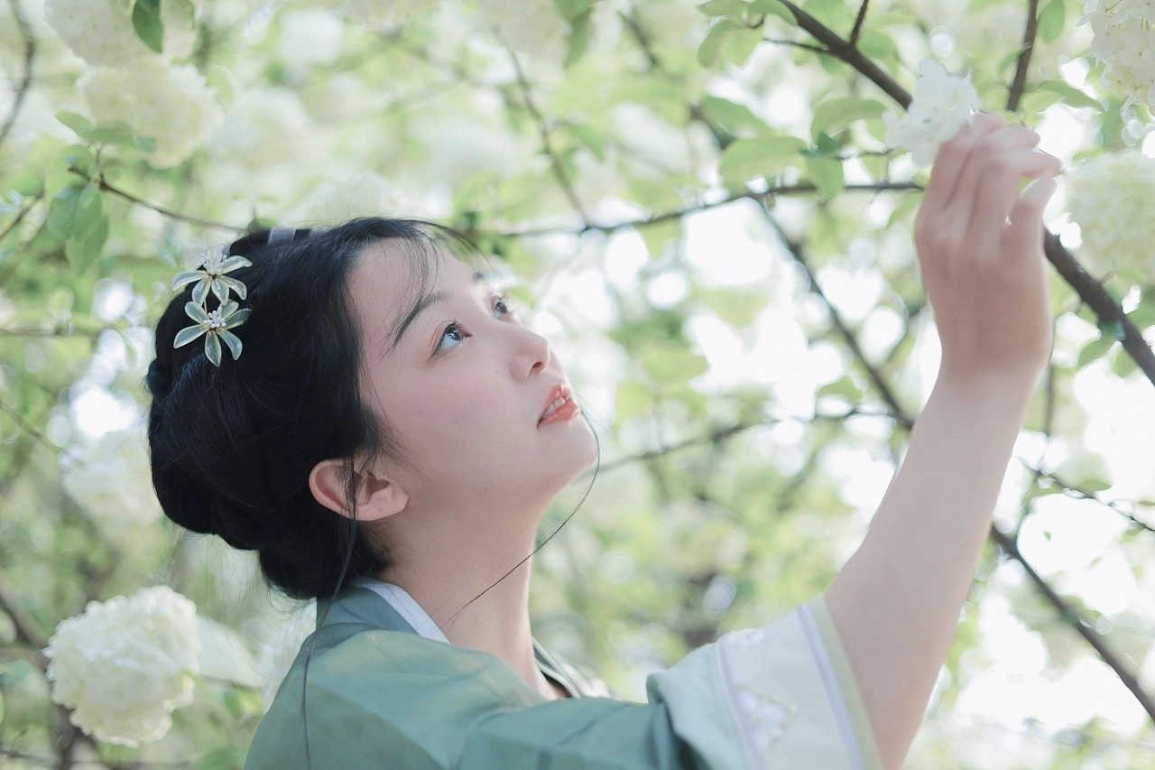 汉服写真 - 绣球花