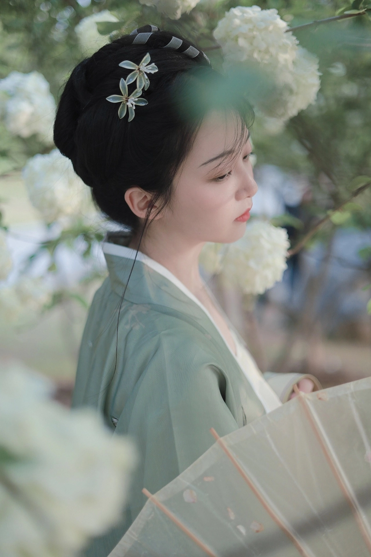 汉服写真 - 绣球花